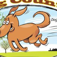 Dog Country Dog Camp